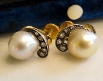 Belle Epoque Pearl and Rose Cut Diamond Screw Back Earrings