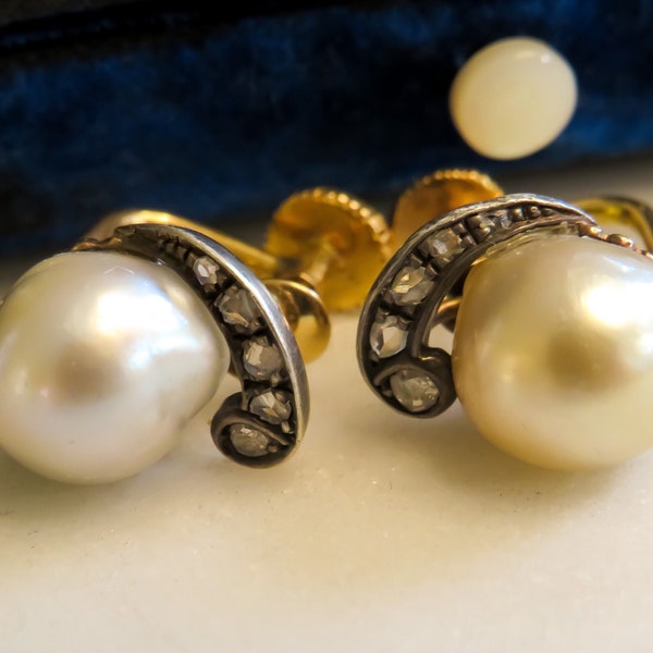 Belle Epoque Pearl and Rose Cut Diamond Screw Back Earrings