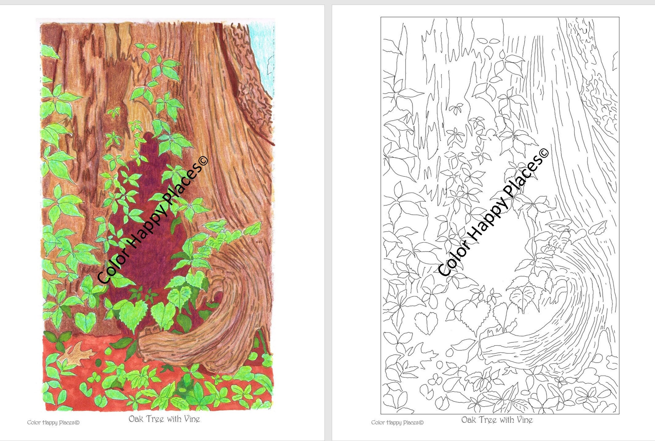 Oak Tree Coloring Page Printable Coloring Pages for Adults Coloring ...