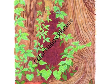 Página para colorear de roble Páginas para colorear imprimibles para adultos Páginas para colorear para niños Páginas para colorear para personas mayores Páginas para colorear para adolescentes