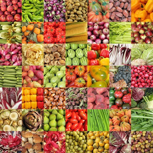 21 Variety Organic Non-GMO Heirloom Vegetable Seeds - Emergency Survival Garden Kit 5 thumbnail image