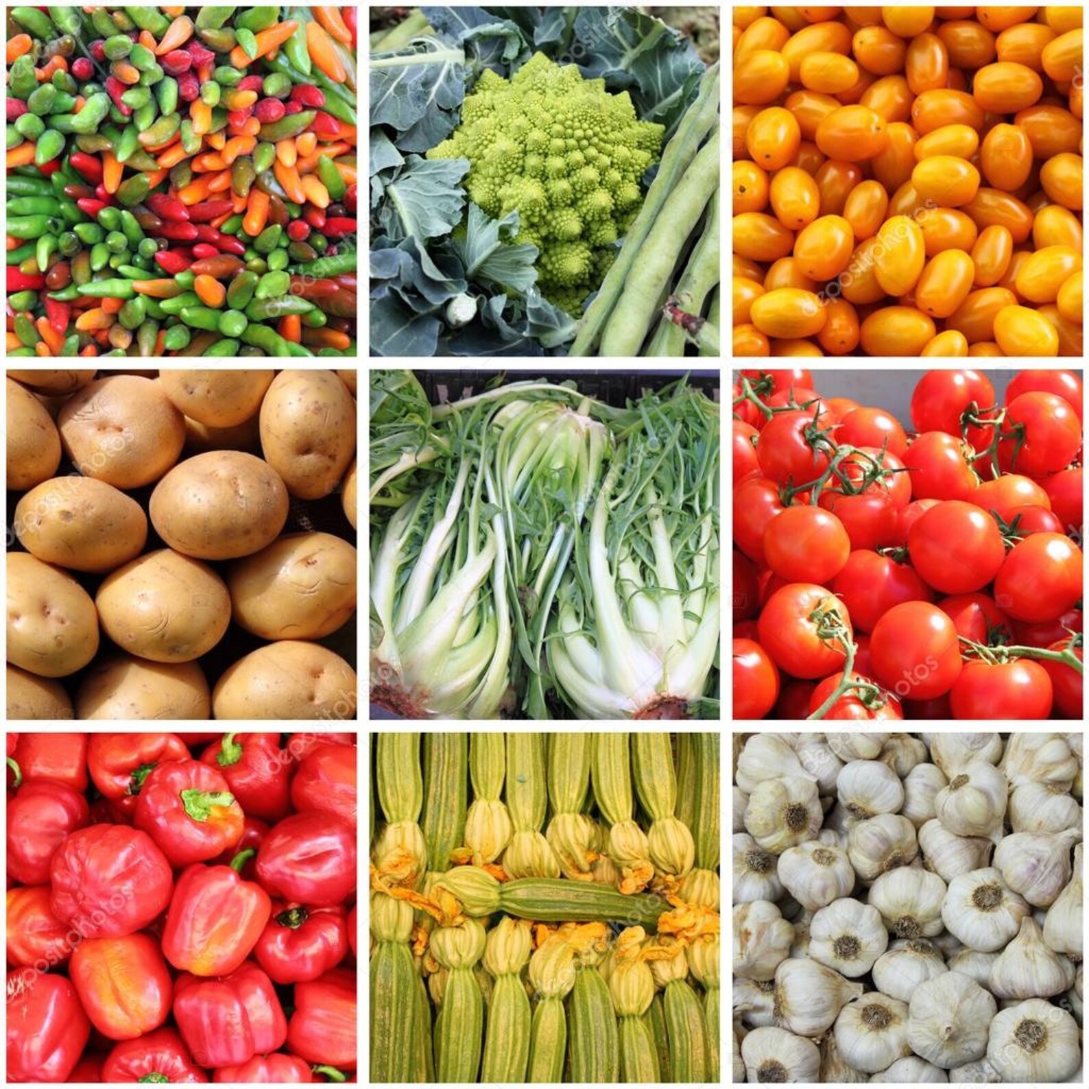 No. 11 Heirloom Vegetable Seeds 6 Variety Garden Set Etsy No. 11 Heirloom Vegetable Seeds 6 Variety Garden Set Etsy