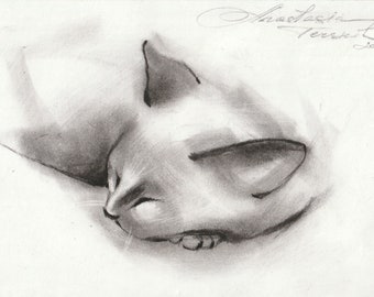 Original Charcoal drawing on paper " Sleeping Cat "