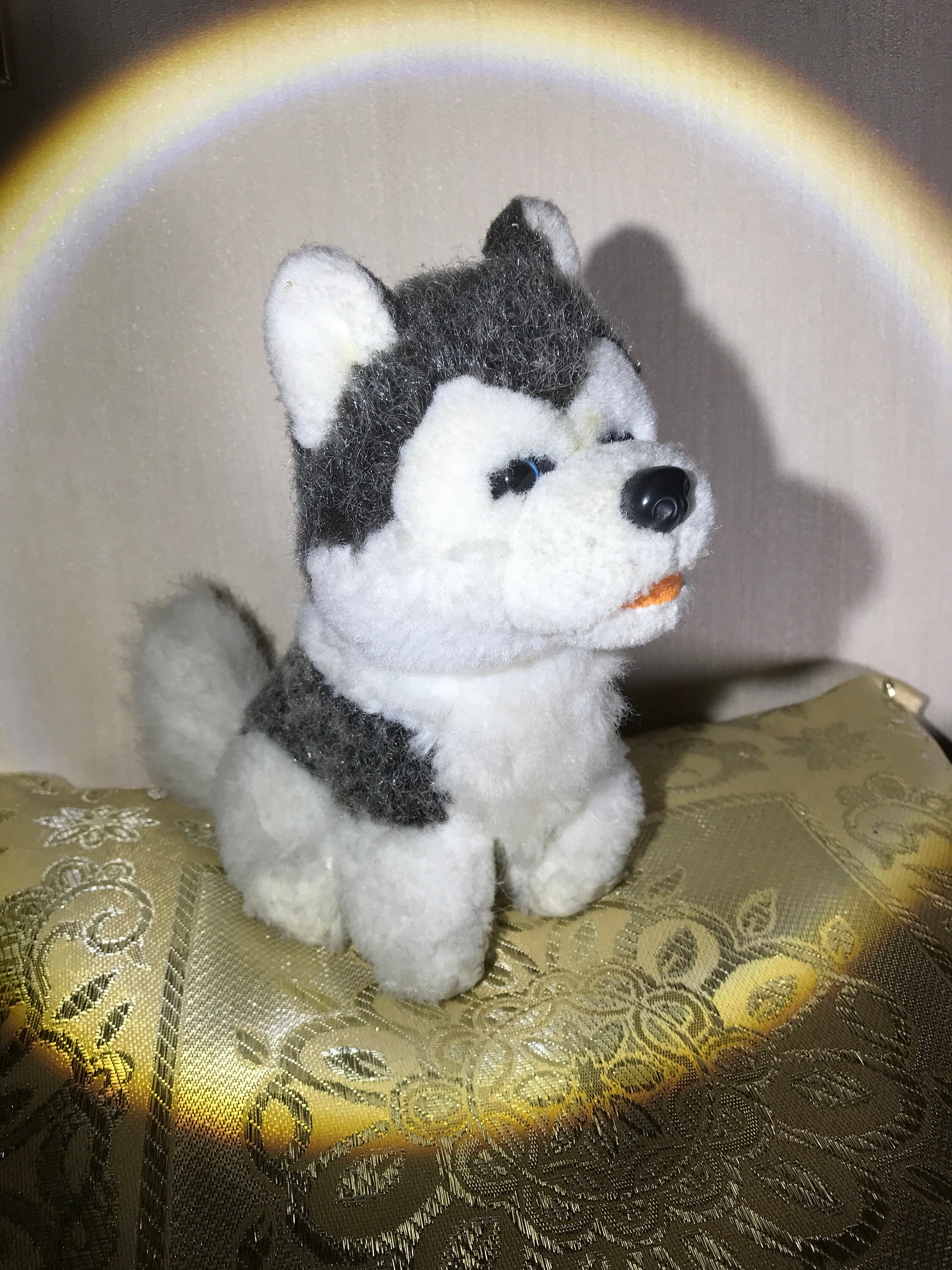 Husky toy clearance