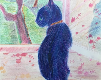Original Colored pencil drawing on paper " Black Cat "