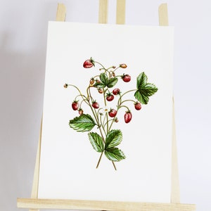 A5 Acquerello originale di fragola selvatica