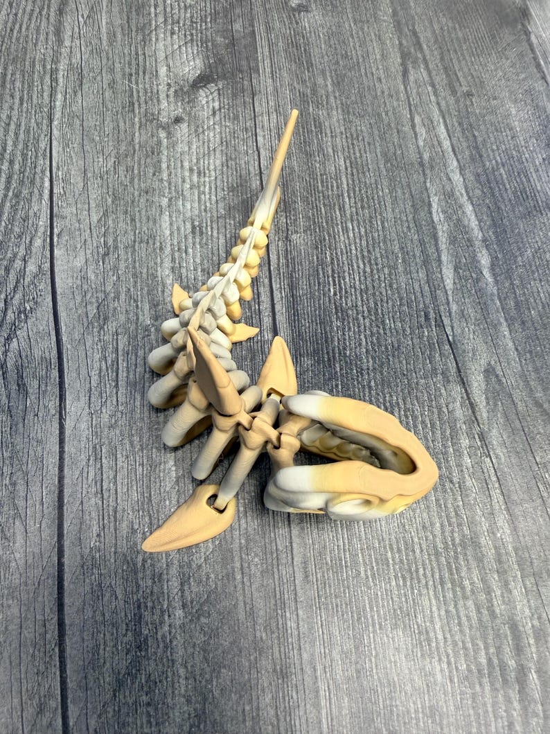 Shark Skeleton | 3D Printed Ocean Predator Model | 7.5