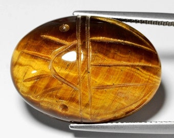 Magnificent Natural 29.18 Carat Tiger Eye Scarab  Cabochon