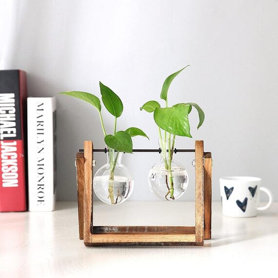 Clear Glass Bulb Vases on Metal Swivel in Rustic Wood Stand Etsy