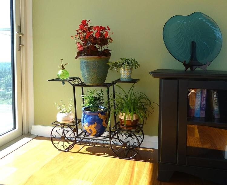 6 Tier Black Metal Garden Cart Indoor Plant Display Stand Etsy