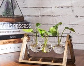 Set of 3 Glass Bulb Planter with Wood Metal Swivel Standee Steampunk Terrarium