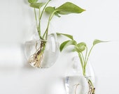 Set of 2 Clear Glass Terrarium Flower Vases, Wall Planter Indoor