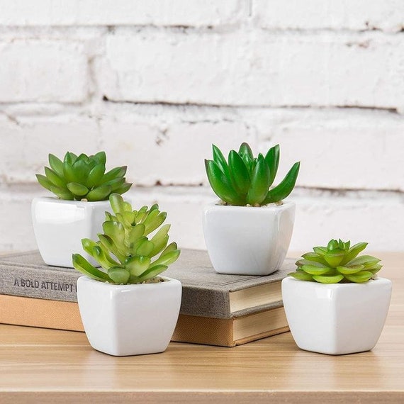 Set of 4 Artificial Succulent Succulents Plants Potted in Cube-Shape White Ceramic Pots
