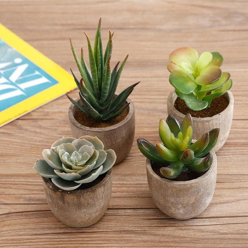 Set of 4 Mini Artificial Succulent Plants With Pots Fake Etsy
