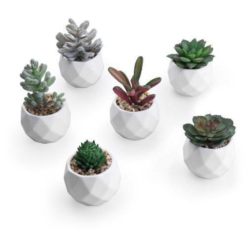 Mini Faux Succulents in Geometric Pots Set of 6 Etsy