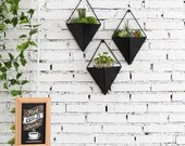 Set of 3, Matte Black Metal Wall Mounted Flower Sconce, Geometric Succulent Planter Pots
