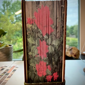 May include: A book with a green velvet base and a red floral design on the cover. The book is folded into a decorative shape.