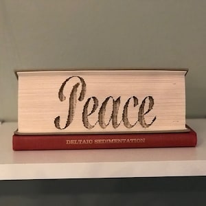 Patrón plegable del libro de la paz