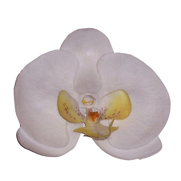 Phalaenopsis Orchid Artificial Flower Pin Brooch/Hair Clip, White