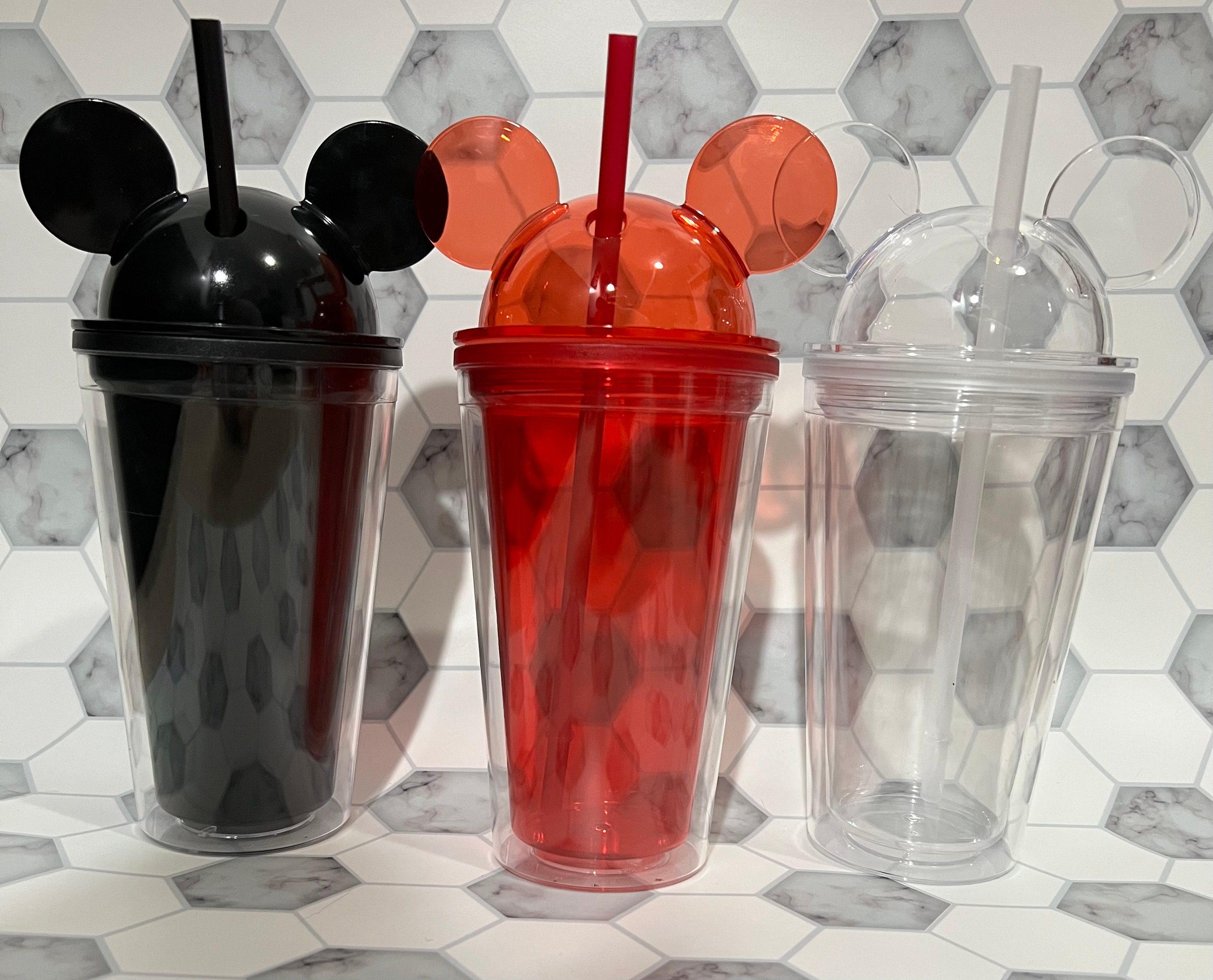 16 Pack Skinny Tumbler Cup with Lid and Straw India