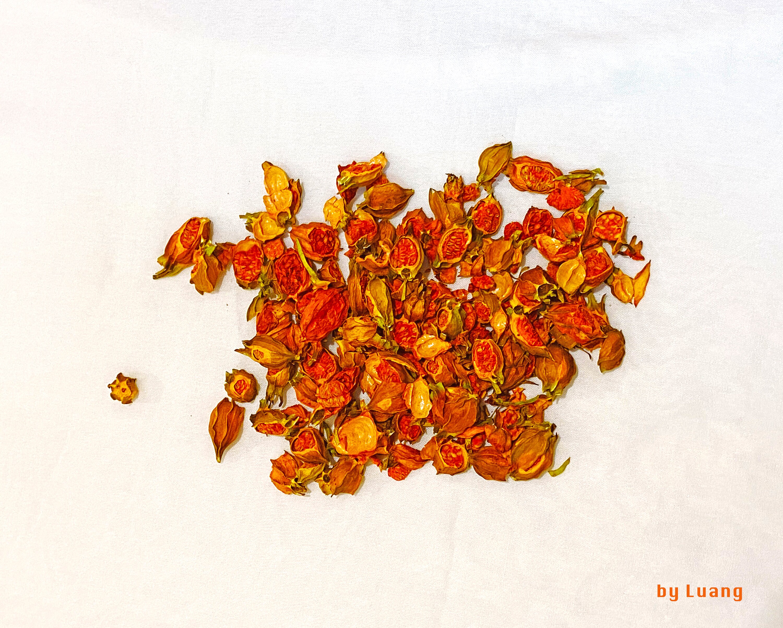 Korean Dried Gardenia Fruits Fructus Natural Dyeing Plant Dye Craft ...