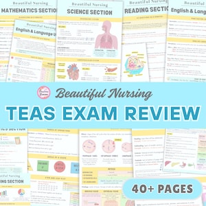 TEAS Exam 7 Review | 40+ Pages