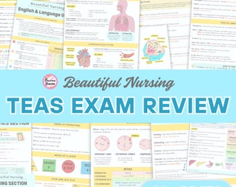 TEAS Exam 7 Review | 40+ Pages