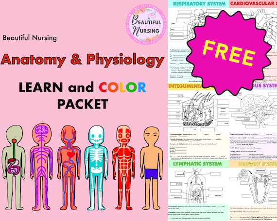 🫀11 Free & Paid Anatomy & Physiology Games / Apps [2023]