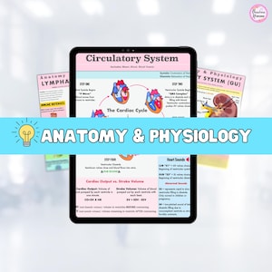 A & P Bundle | 30 Pages + Bonus Gift