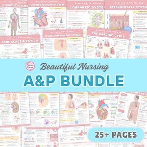 Paquete de anatomía y fisiología / Más de 25 páginas