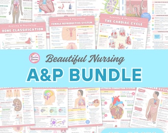 Anatomy & Physiology Bundle | 25+ Pages