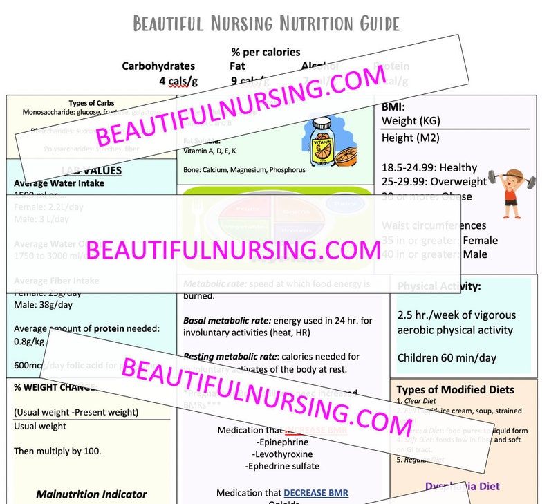 Nursing Nutrition Guide Etsy