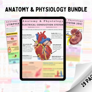 Anatomy & Physiology Bundle | **ALL BODY SYSTEMS** w/ free gift