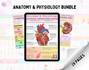 Pack Anatomie et physiologie | **TOUS LES SYSTÈMES DU CORPS** avec cadeau gratuit