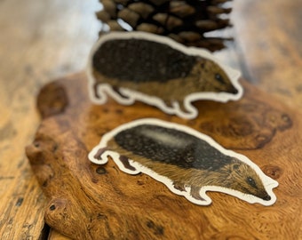 Hedgehog Helper Vinyl Sticker - Charming Endangered Animal Illustration - Car Bumper Decal - Thoughtful Eco Advocate Gift