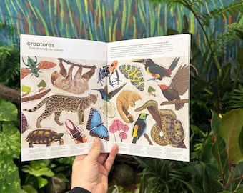 Beneath the Canopy – Limited Edition Illustrated Zine