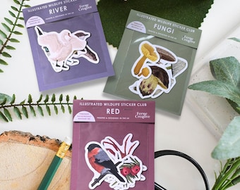Mystery wildlife Sticker pack Bundle of 3, British wildlife vinyl sticker packs, mystery bag