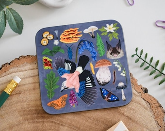 Ancient Woodland Wildlife Coaster