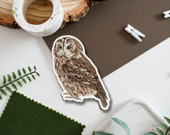 Tawny Owl Vinyl Sticker, British wildlife decal, birdwatching, falconry gift, letterbox gift, laptop vinyl stickers, waterbottle sticker