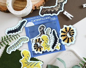Caterpillar Vinyl Sticker Pack, Limited Edition stickers, Wildlife Stickers, Elephant Hawk-Moth, Cinnabar Moth, Death's head hawk moth