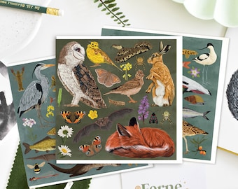 British Wildlife Illustration Card Bundle, Animal Art Cards, Bird Greeting Card, Woodland Wildlife Thank You Card