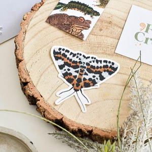 Autocollant en vinyle pie pie | Sticker imperméable durable pour ordinateurs portables, bouteilles d'eau et plus | Décoration d'intérieur unique et mignonne