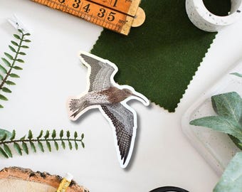 Curlew Flying Vinyl Sticker, Birdwatching gift, Wader sticker, Wading bird decal, British wildlife illustration, Waterbottle sticker