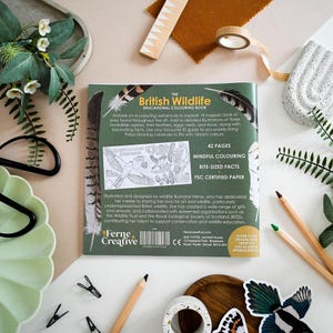 British Bird of Prey Colouring Book – Educational Fun for Kids & Adults, Nature Learning, Wildlife Art Activities