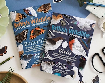 British Birds & Butterflies Colouring Book Set, Childrens colouring, Adult Mindful colouring, Homeschool Unit, Montessori Colouring