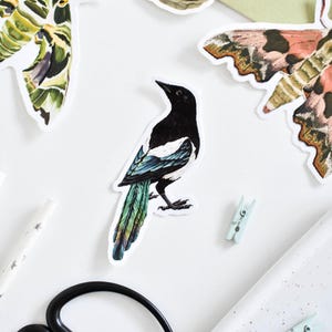 Sticker pie en vinyle, art pie mignon, sticker imperméable, cadeau pour amoureux des oiseaux, décoration nature, sticker mural esthétique, décoration de maison et de bureau