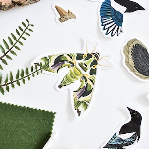 Oleander Hawk-Moth Vinyl Aufkleber - wasserdicht, langlebig, Natur-Liebhaber-Geschenk, einzigartiges Wanddekor, Insektenkunst, ästhetischer Aufkleber für Laptops