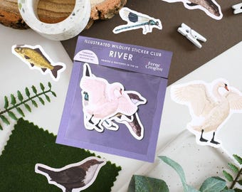 River Wildlife Sticker Pack, Otter, swan, fish, Dipper. Fisherman gift, nature illustration, vinyl stickers