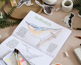 Easy British Bird Colouring Book, 38 pages, British Wildlife, Nature lover gift, Mindful adult colouring, Educational childrens homeschool