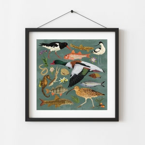 Estuary print, British wildlife artwork, Nature Poster, Bird lover gift, Educational poster, Square print, Naturalist decor, Biology gift
